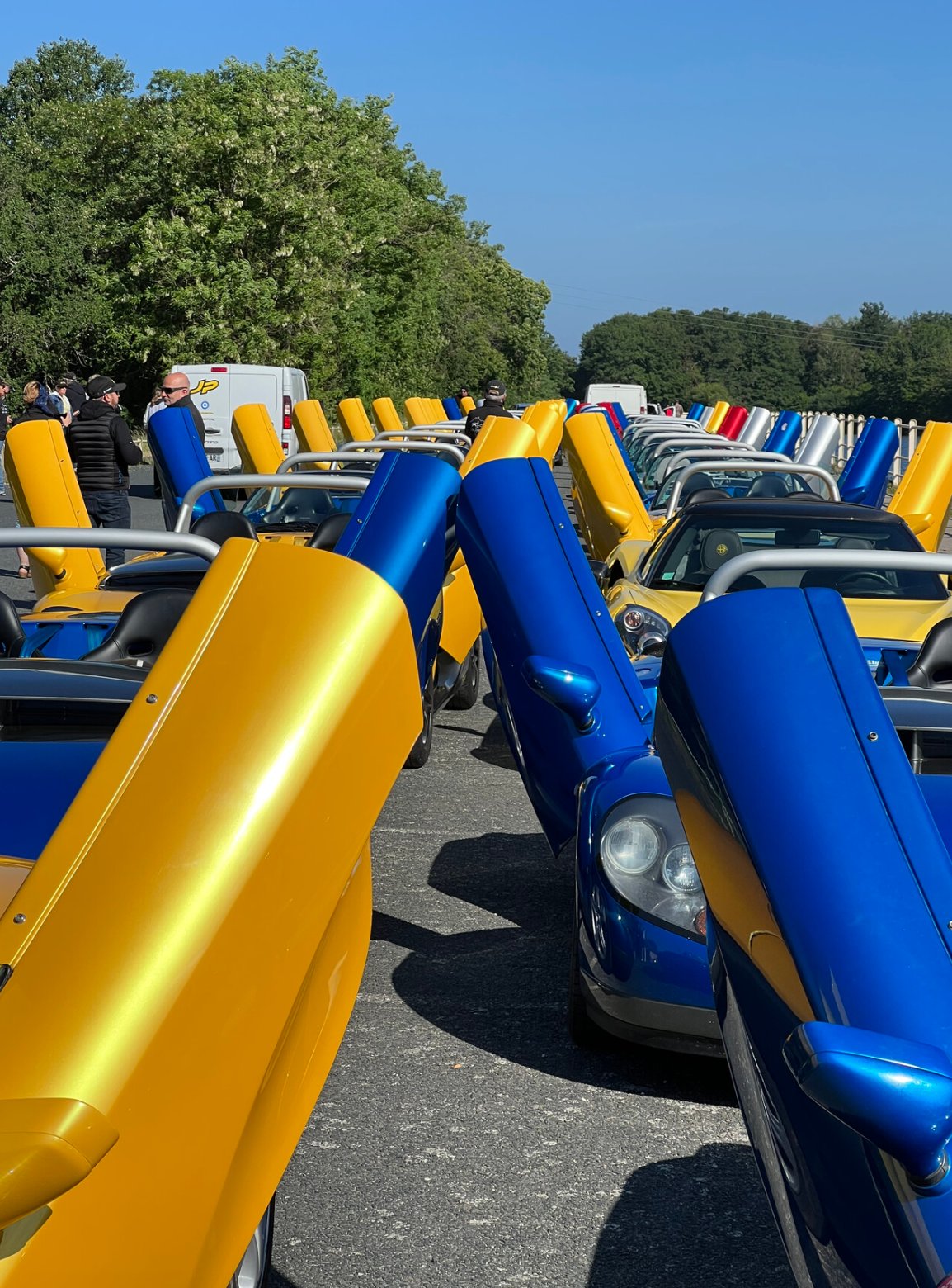 Spiderencontre — portes en élytre